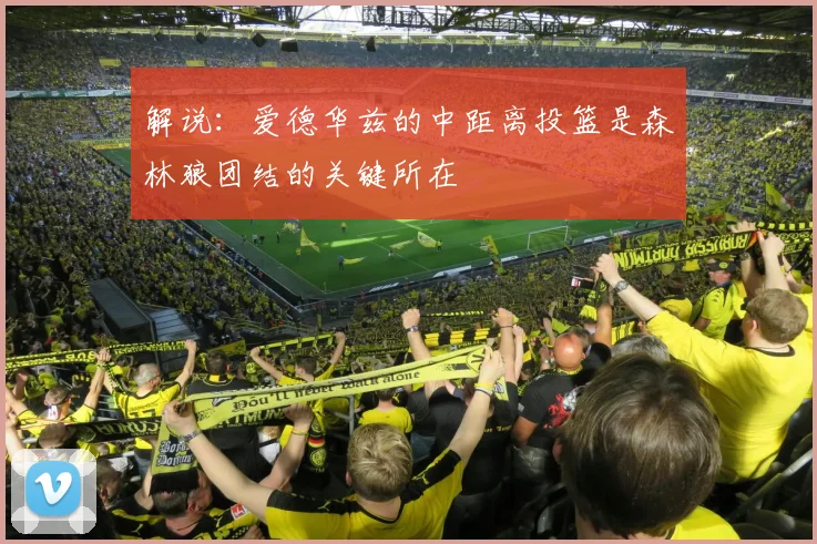 解说：爱德华兹的中距离投篮是森林狼团结的关键所在