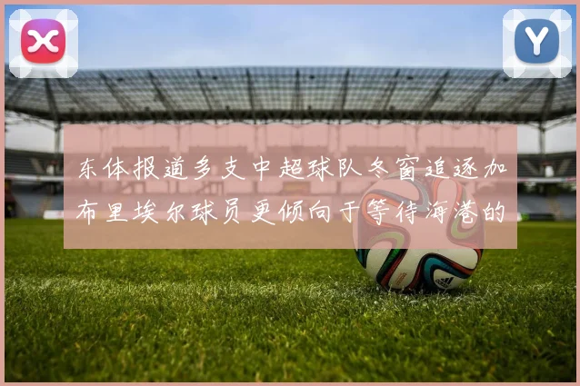 东体报道多支中超球队冬窗追逐加布里埃尔球员更倾向于等待海港的机会