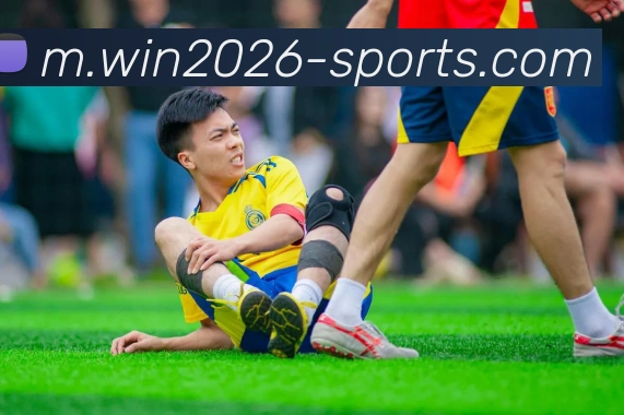 2026世界杯投注官网平台生态图